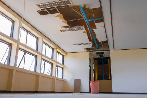 Best Professional water damage repair  in Wichita, KS