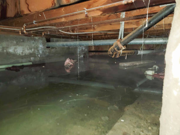 Best Ceiling water damage repair  in Wichita, KS