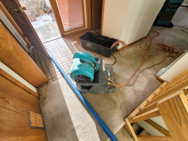 Best Water damage contractors near me  in Wichita, KS