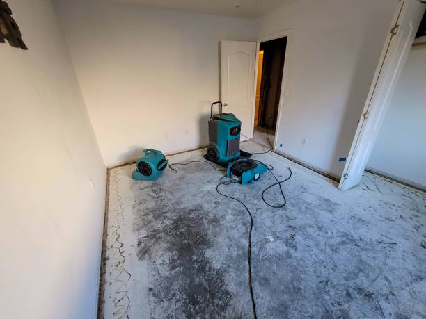Best Flooded house restoration  in Wichita, KS