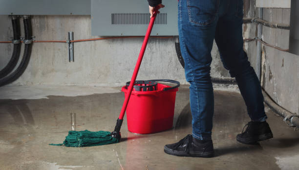 Best Basement water damage restoration  in Wichita, KS