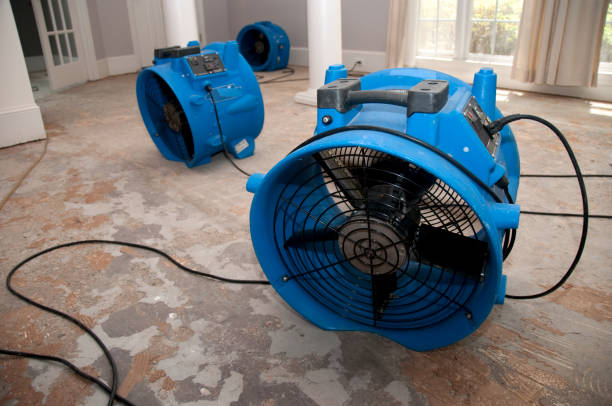 Best 24/7 water damage repair  in Wichita, KS
