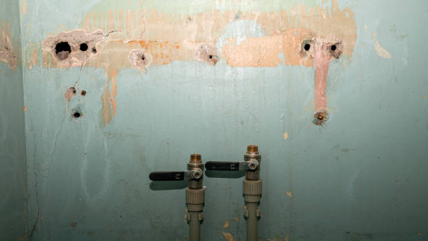 Best Professional water damage repair  in Wichita, KS