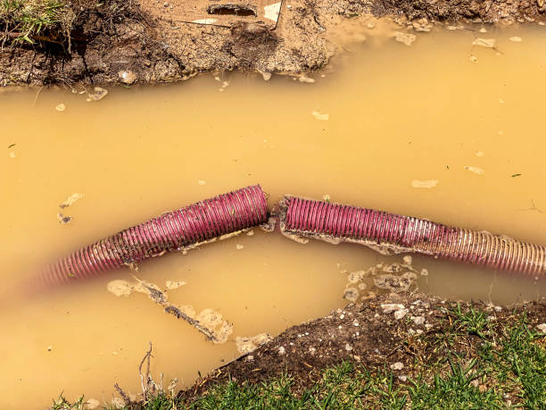 Best Water damage restoration company  in Wichita, KS