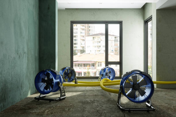 Best Residential water damage restoration  in Wichita, KS