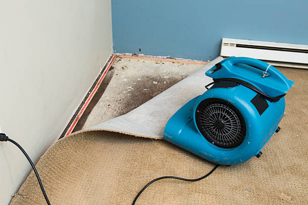 Best Flooded house restoration  in Wichita, KS